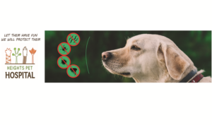Poster Design by Green Coast Design for Heights Pet Hospital | Design: #19249186