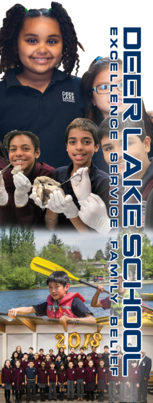 Design de Poster par Black Stallions Impressive Solutions pour Deer Lake School | Design #19225326