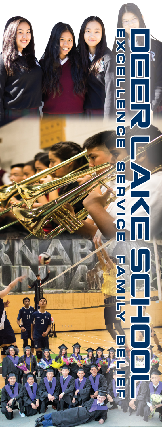 Poster Design by Impressive Solutions for Deer Lake School | Design #19225327