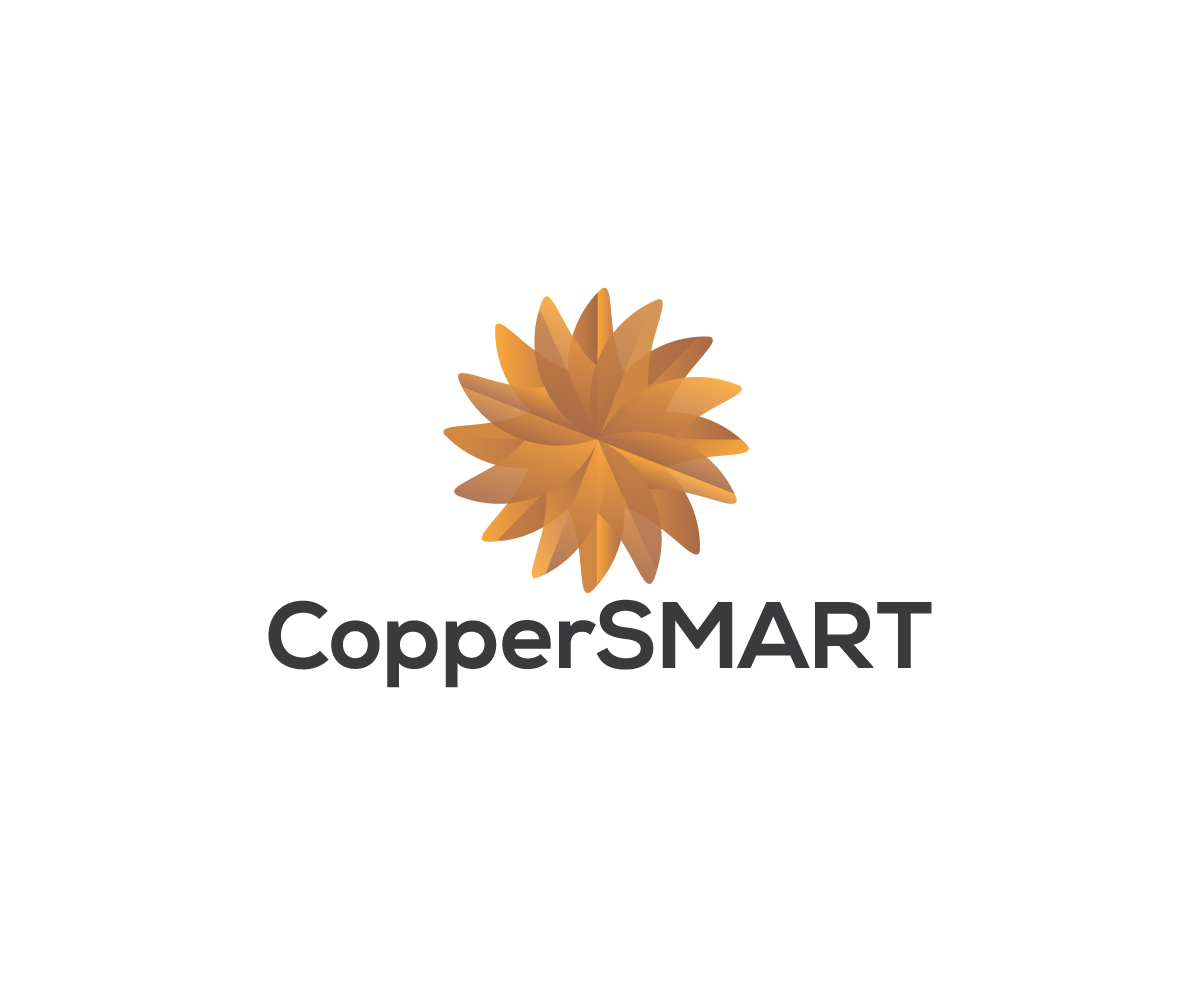 Logo Design by meygekon for this project | Design #19756687