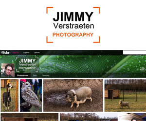 Logo-Design von CreativeTrick für dieses Projekt | Design: #2911412