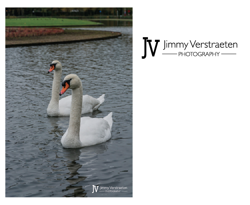 Logo Design by cmdes15 for this project | Design #2869771