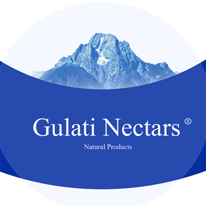 Logo Design by Cerruti