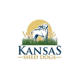 Logo Design by creative.bugs for this project | Design: #19419293