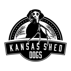 Logo Design by CarlosQ for this project | Design: #19279050