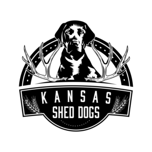 Logo Design by CarlosQ for this project | Design: #19296385