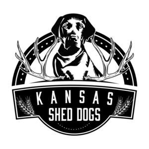 Logo Design by CarlosQ for this project | Design: #19302671