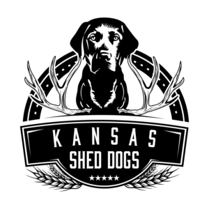 Logo Design by CarlosQ for this project | Design: #19316330