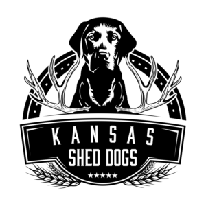 Logo Design by CarlosQ for this project | Design: #19319976