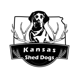 Logo Design by CarlosQ for this project | Design: #19404168