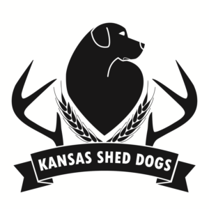 Logo Design by AO Digital Illustration for this project | Design: #19333015