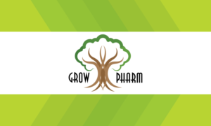 Logo Design by Meavisolutions.net
