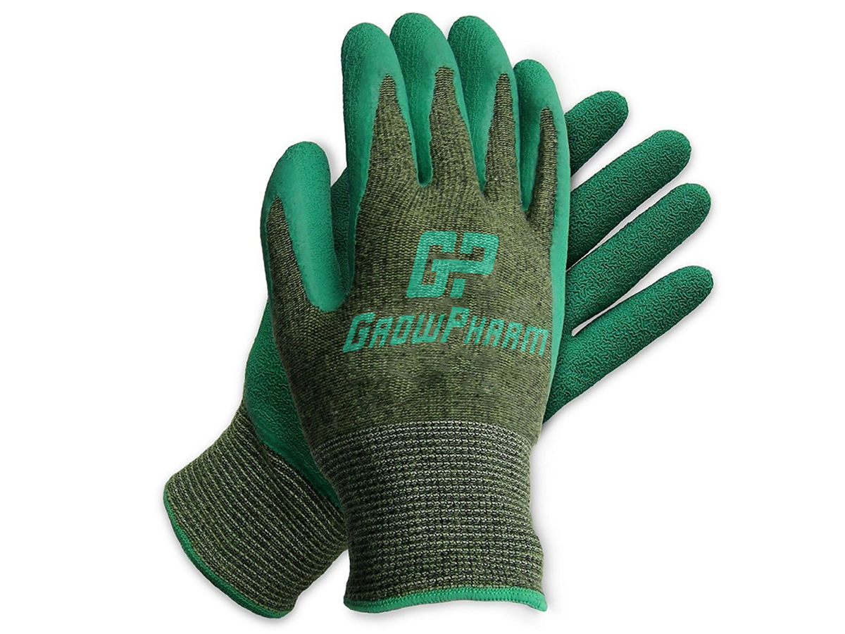 Diseño de Logo por Scelatio para este proyecto | Diseño #19242141