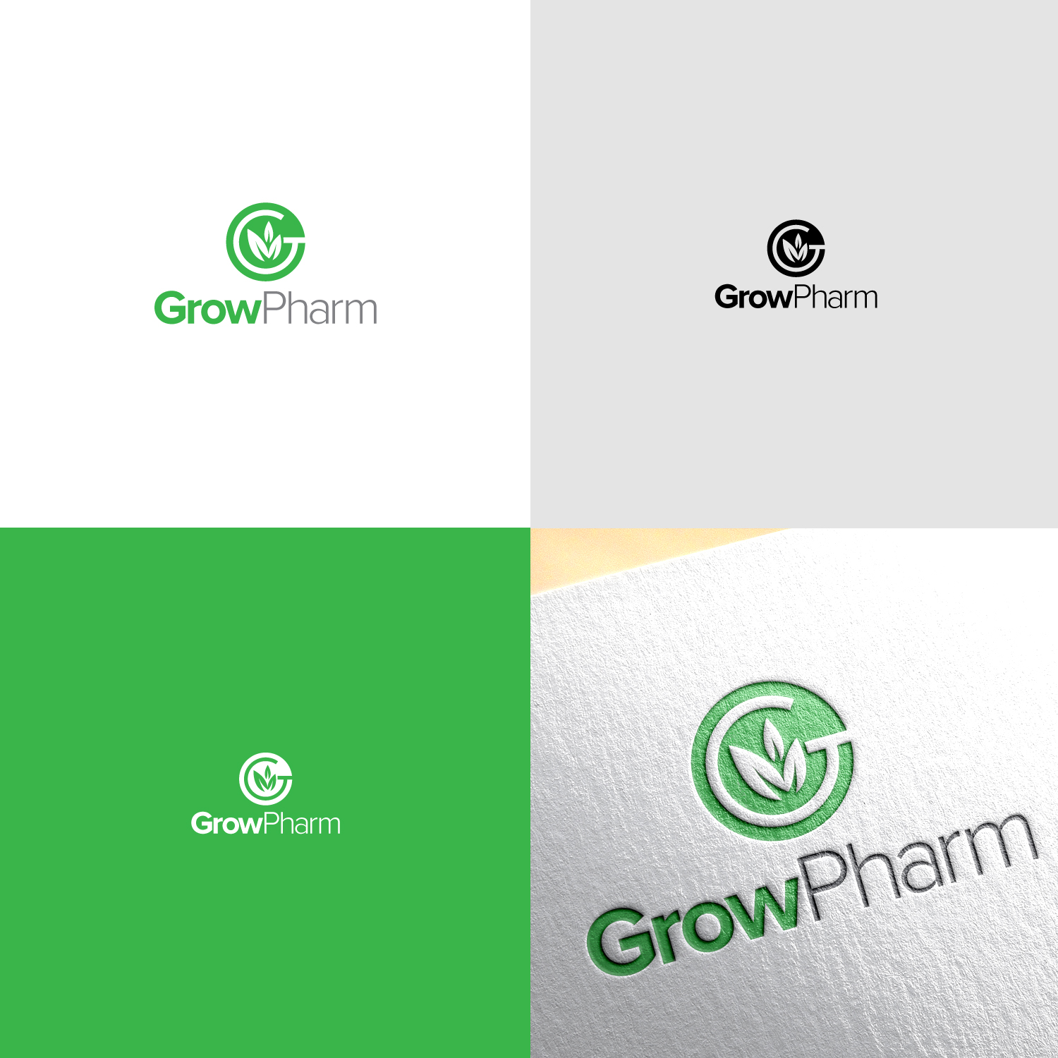 Logo Design by Maxo-Biz for this project | Design #19241522
