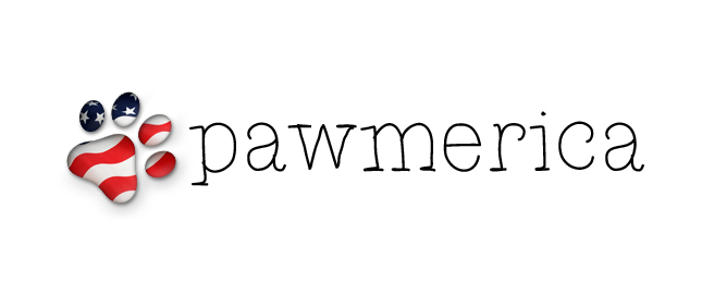 Logo Design by Brent for this project | Design #2873085