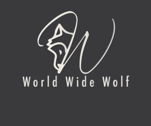 Logo Design by Yomy