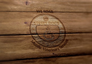 Logo Design by jrsgrafika for Street Docs | Design #19251397