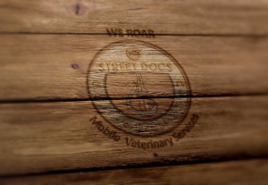 Logo Design by jrsgrafika for Street Docs | Design: #19251397