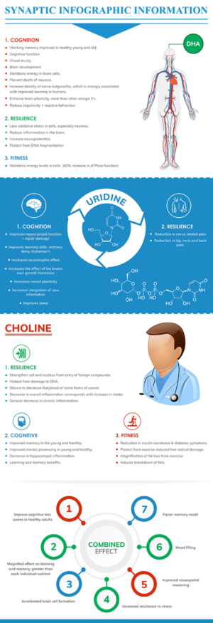 Infographic Design by SAI DESIGNS