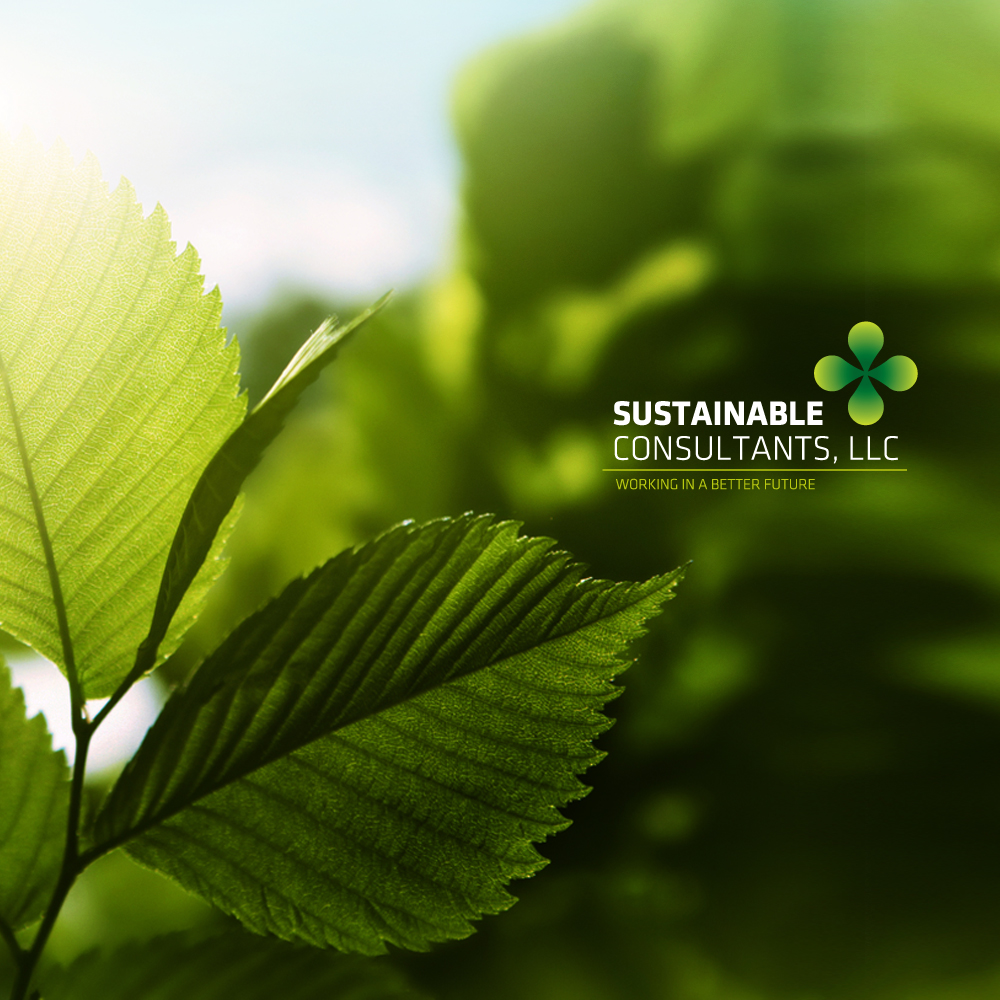 Logo Design by nggomes for this project | Design #3000985