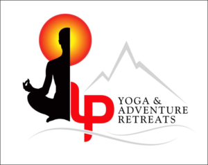 Logo Design by Square Designing Studio