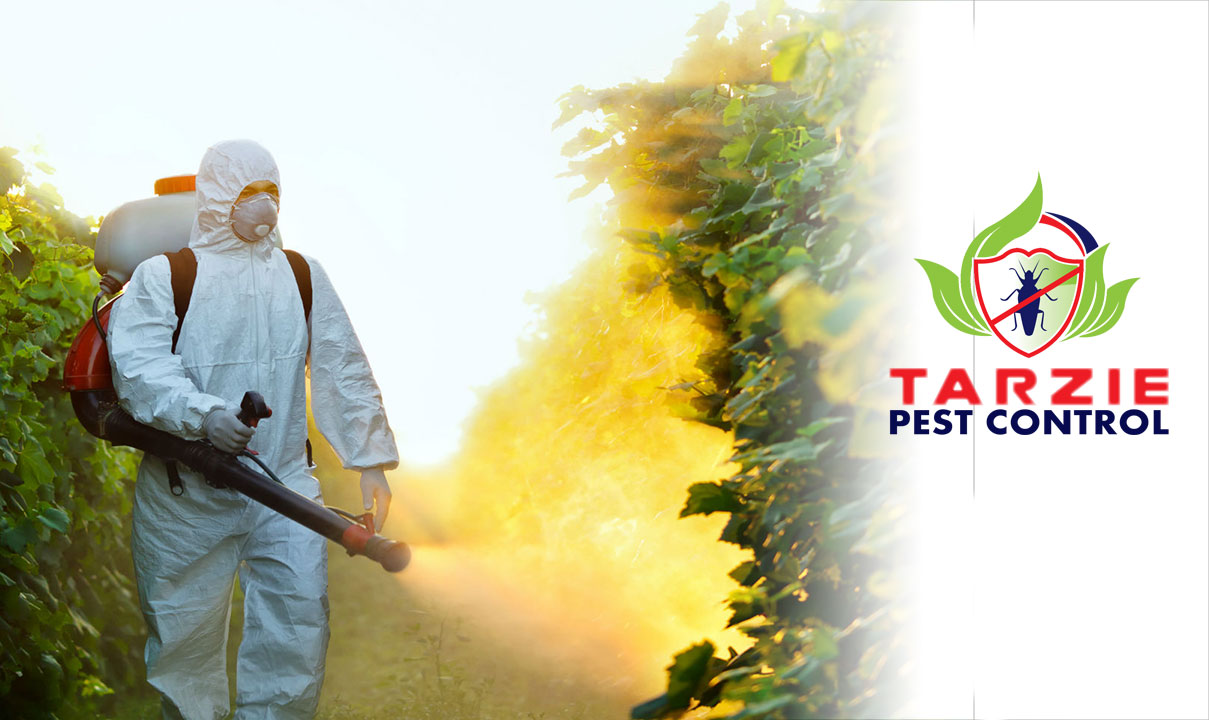 Logo Design by Wonderful design for this project | Design #19273101