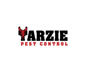 Logo Design by creative.bugs for this project | Design: #19272395