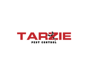 Logo Design by creative.bugs for this project | Design: #19272399