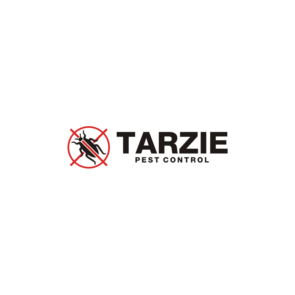 Diseño de Logo por buluk para este proyecto | Diseño #19278085