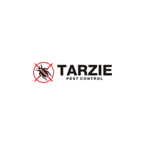Logo Design by buluk