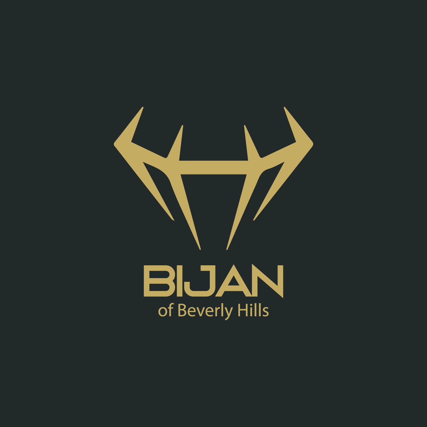 Logo Design by pedro nuno for this project | Design #19330244