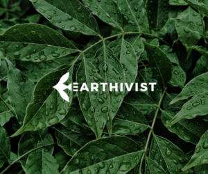 Logo Design by SlashGrid for this project | Design: #19334564