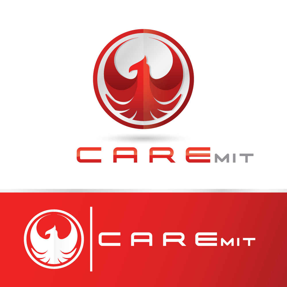 Logo-Design von All American Designs für R and I ICT Consulting Services Pty Ltd | Design #19345954