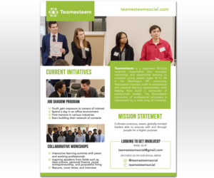 Teamesteem Mentorship 1 Page Flyer | Diseño de Flyer por Luniere Designs