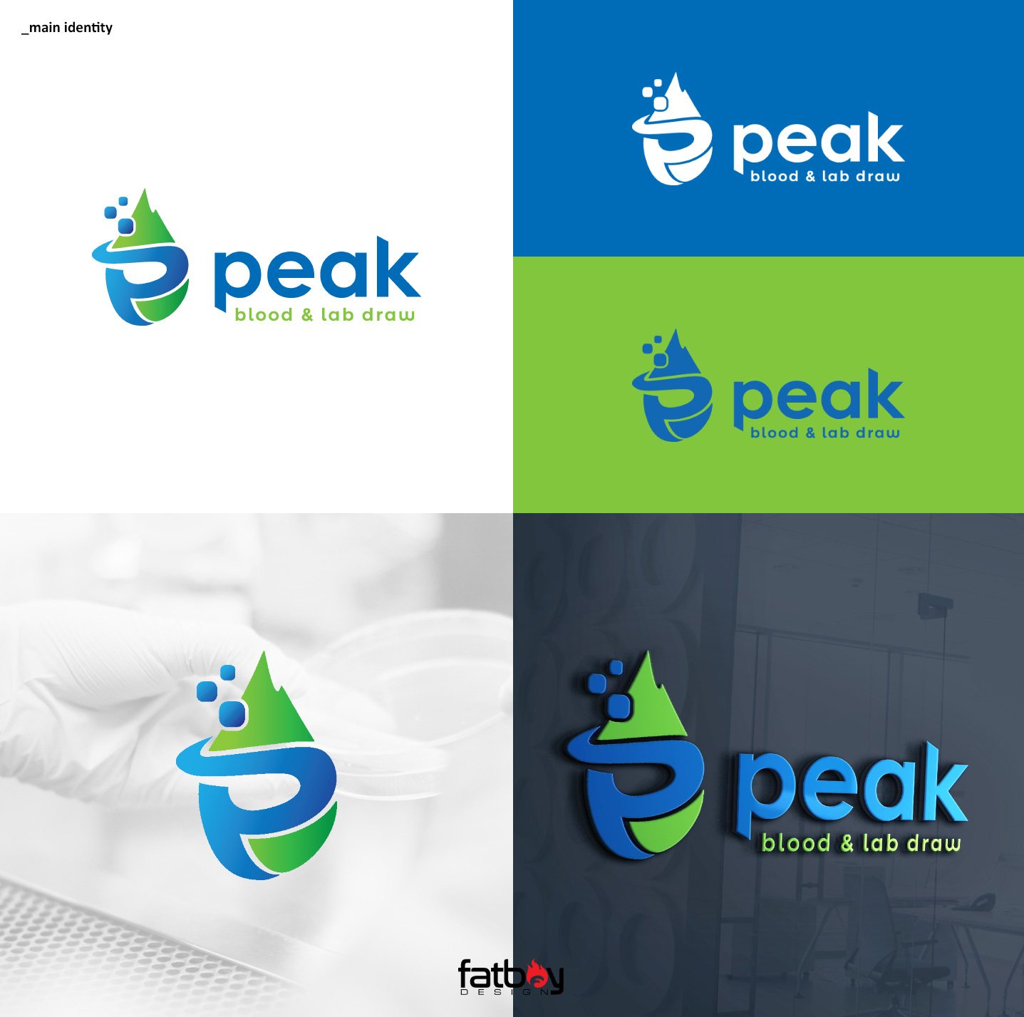 Logo Design by Fatboy Graphic for Peak | Design #19355104