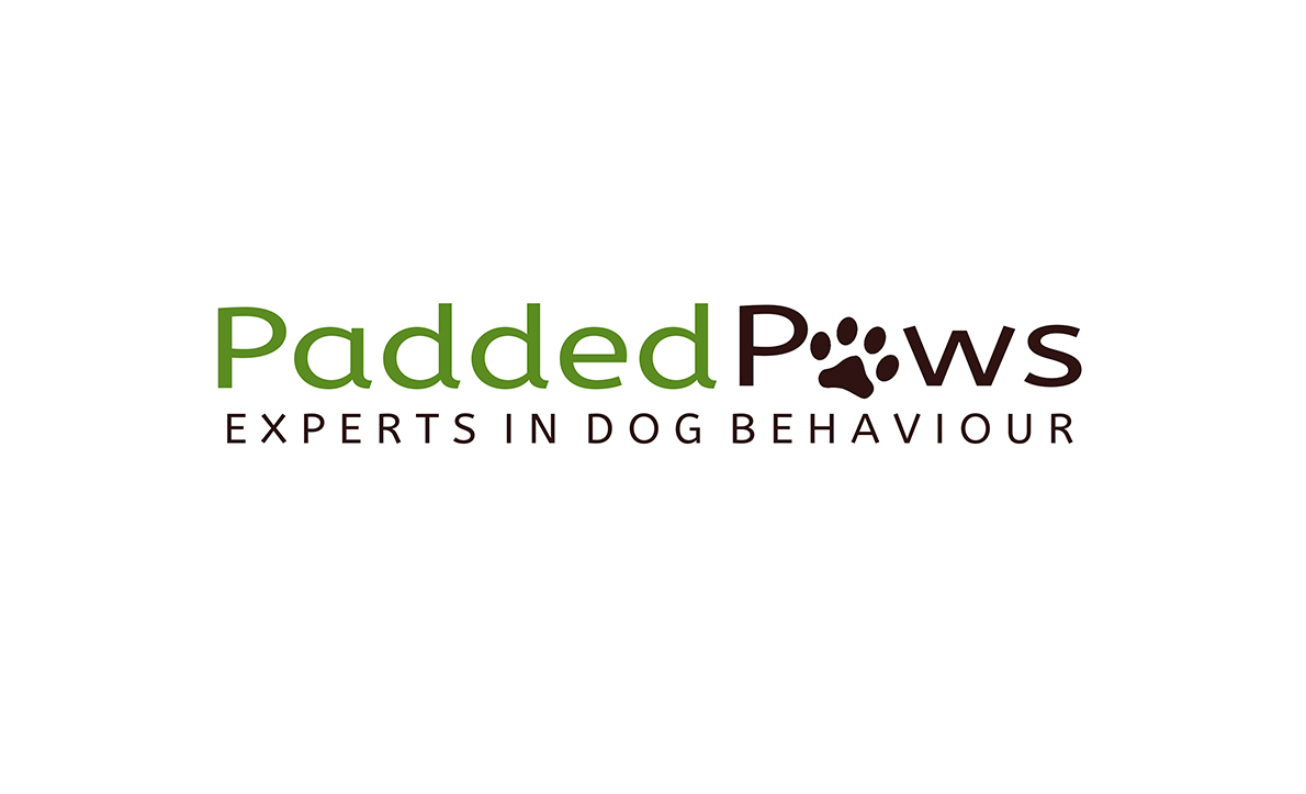 Logo Design by NILDesigns for this project | Design: #19637794