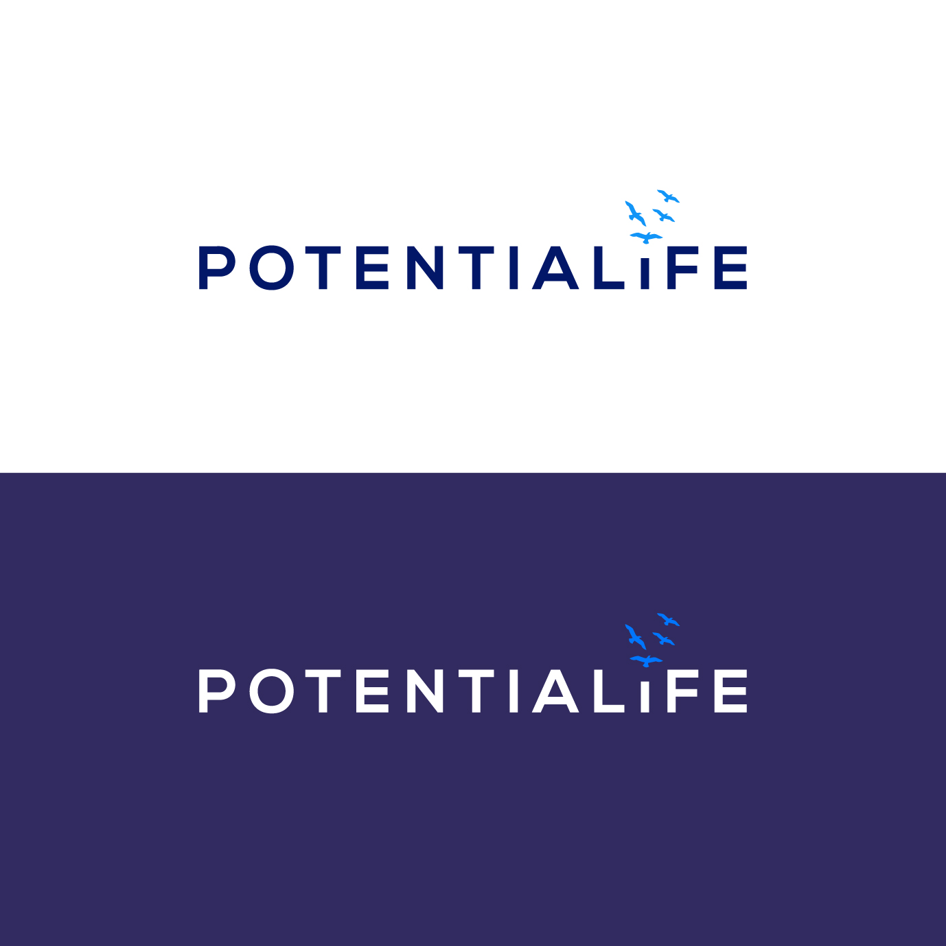 Logo Design by J E R R Y for this project | Design #19321696