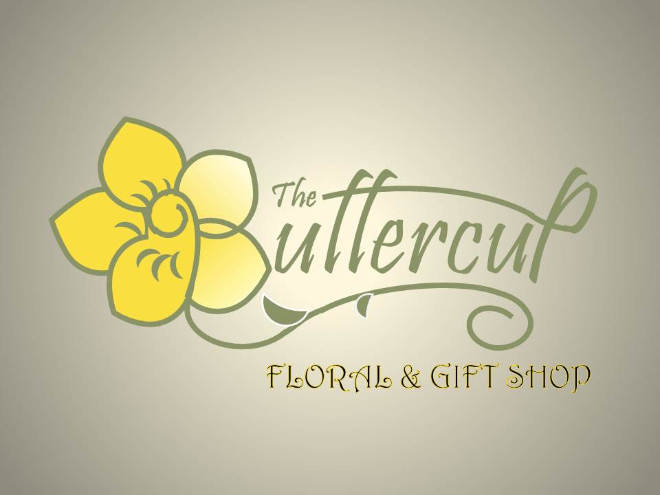 Logo Design by Jacqueline for BizVizable Pittsburgh, LLC | Design #2897664