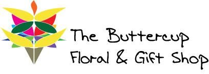 Logo Design by perkywallflower for BizVizable Pittsburgh, LLC | Design #2876259