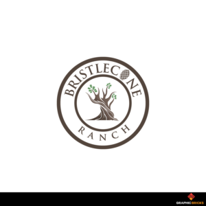 Logo Design by Graphic Bricks