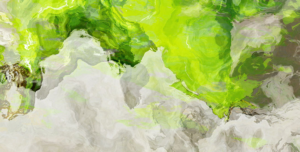 Grafik-Design von hasithm2013 für Coron Westown Resort | Design: #19334961