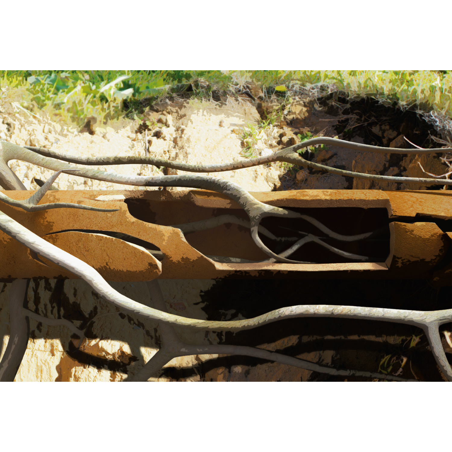 Design Graphique par Joshua M pour ce projet | Design #19335827