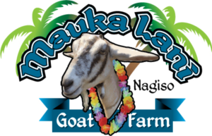 Logo Design by Frank Brittner Graphics for this project | Design #19446854