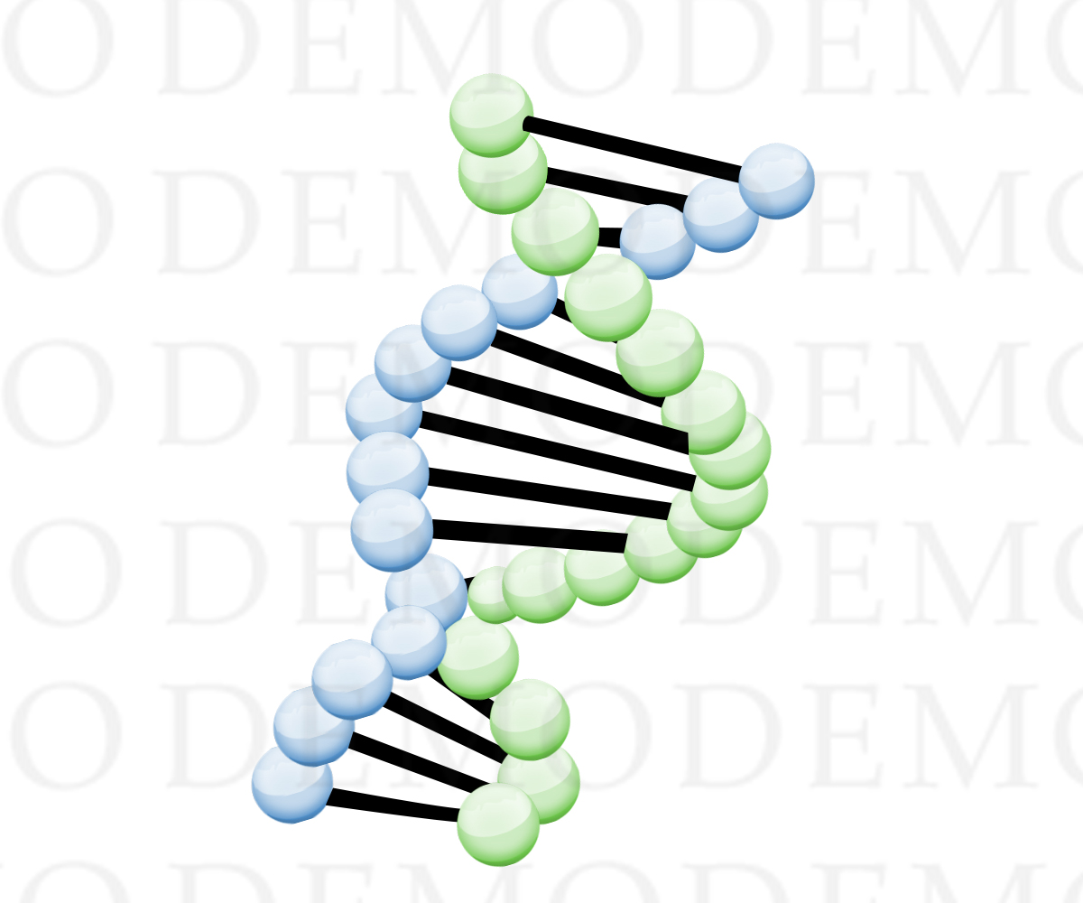 Logo Design by isoDesigne for this project | Design #2886411