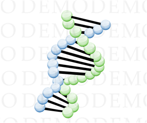 Logo Design by isoDesigne for this project | Design: #2886411