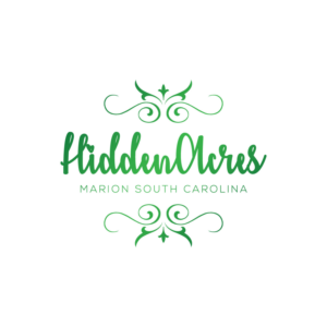 Logo Design by **INCREDIBLEDESIGNERS**