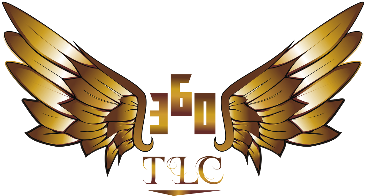 Diseño de Logo por Sandi Maulana para 360TLC | Diseño #19365026