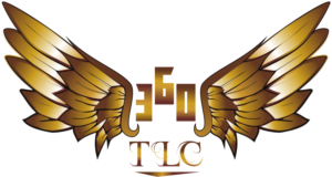 Logo Design by Sandi Maulana
