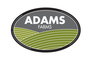 Design de Logo par Halfull Media pour ce projet | Design : #19369726