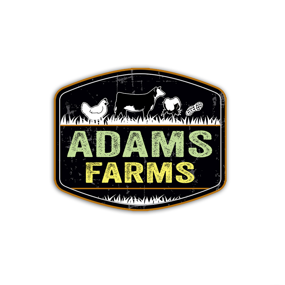 Logo Design by NILDesigns for this project | Design #19383664